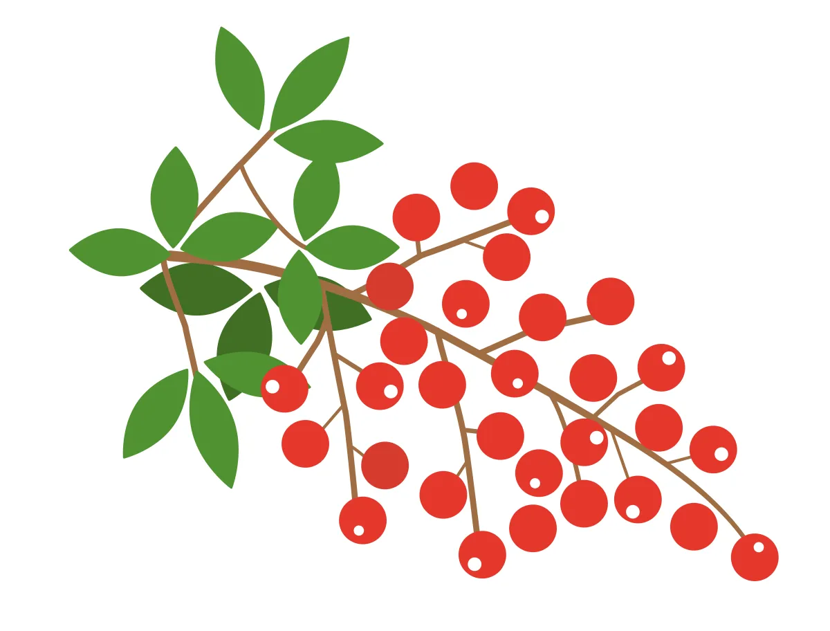 今すぐできる！効果的な「鬼門対策・鬼門除け」アイテム