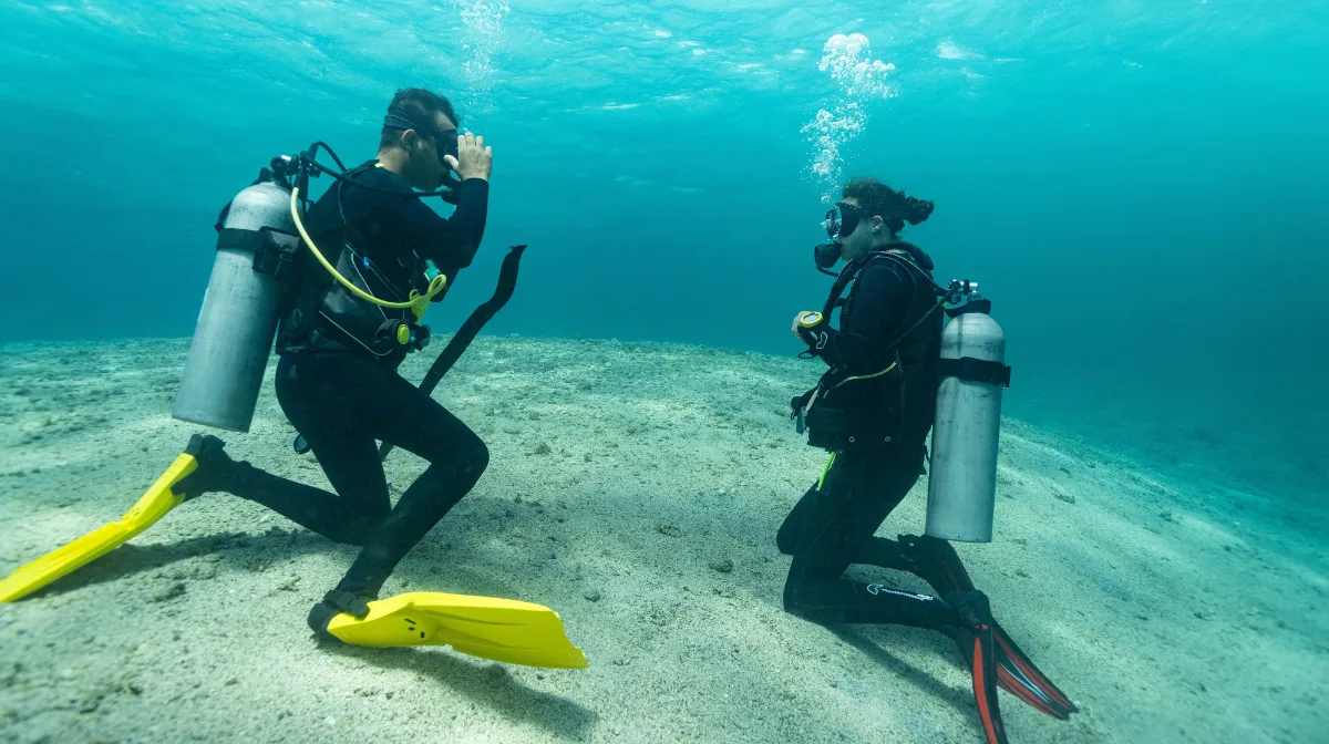 インストラクター・調査研究(海を知り、伝える仕事)
