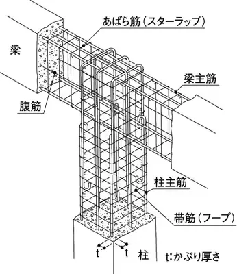 スターラップ（あばら筋）とは？基本の定義と語源
