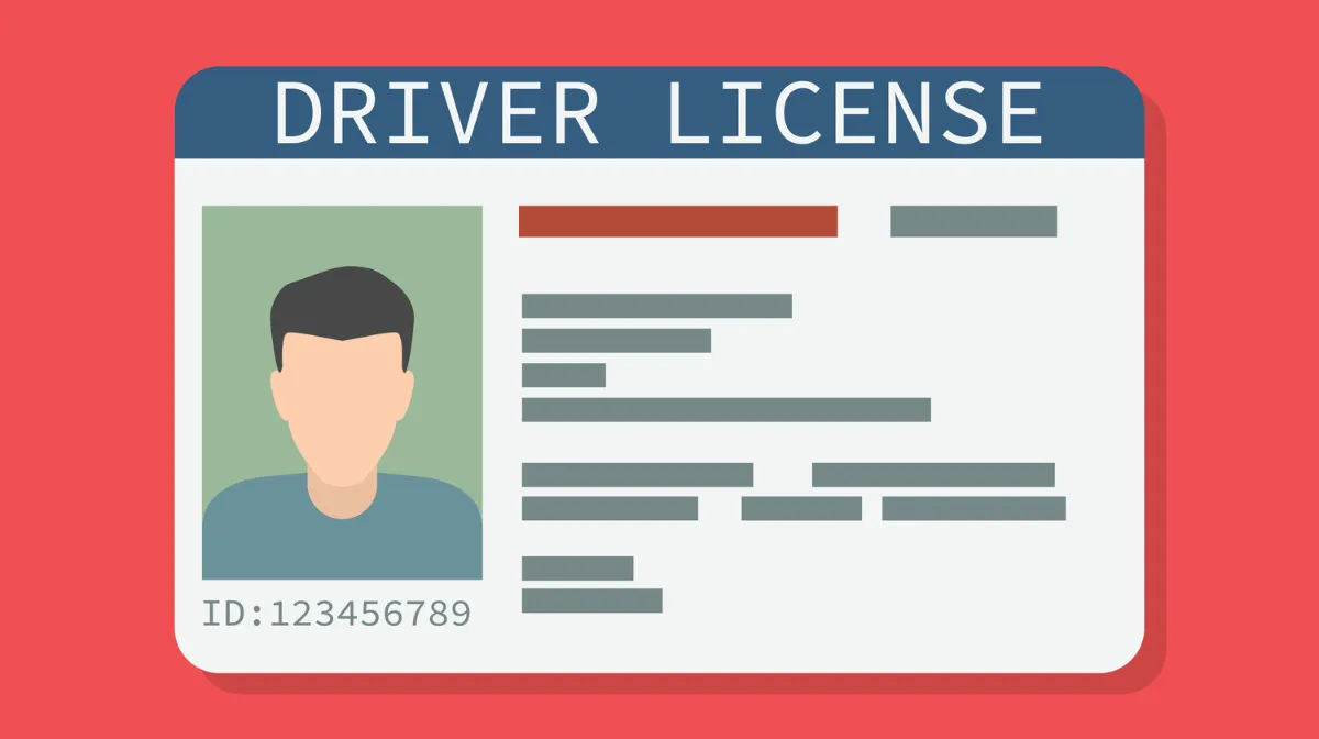 1．まずはここから！「重機免許」の正しい種類と選び方